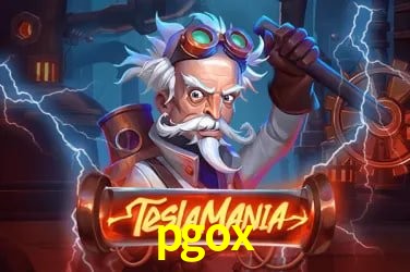 Experiência VIP pgox